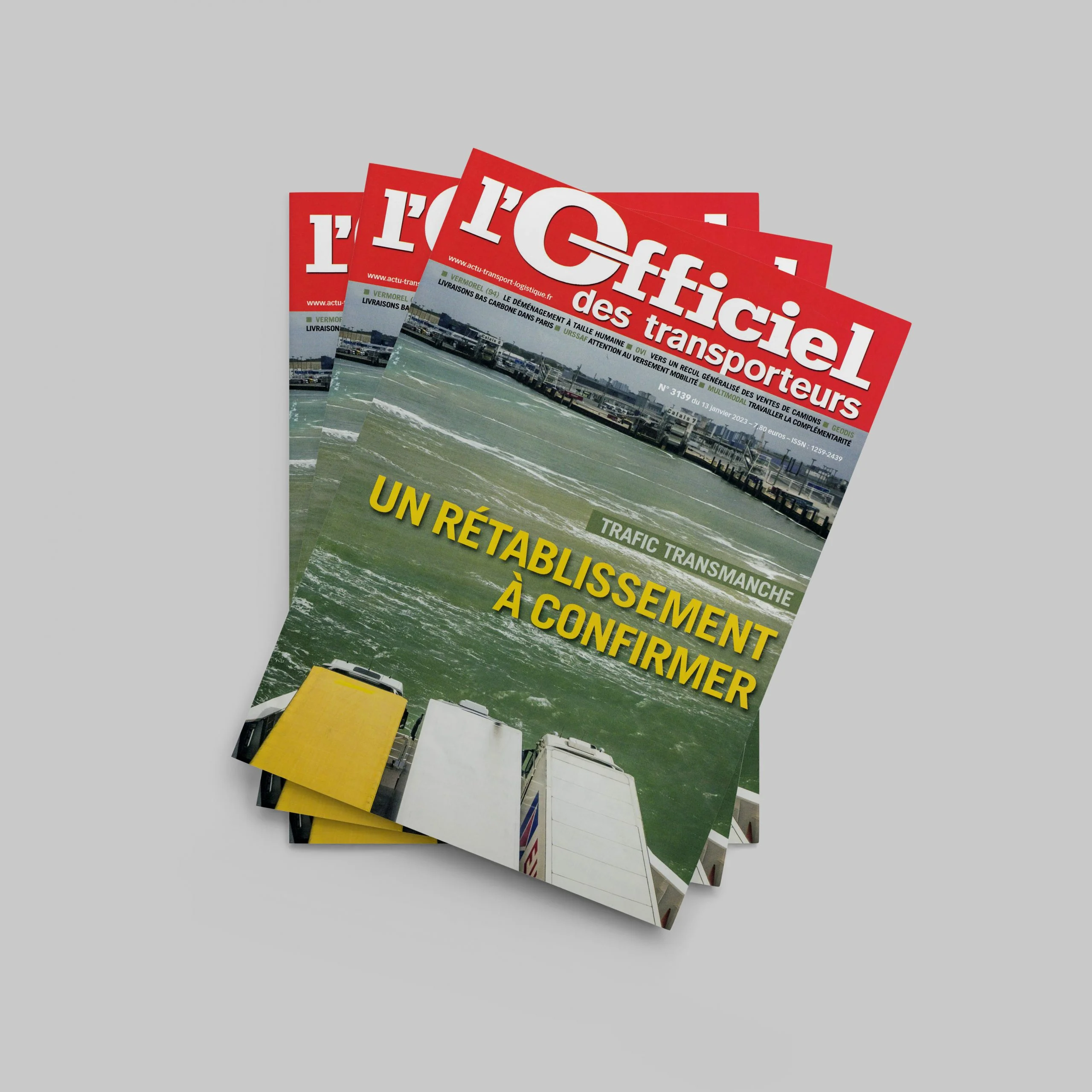 Le déménagement à taille humaine